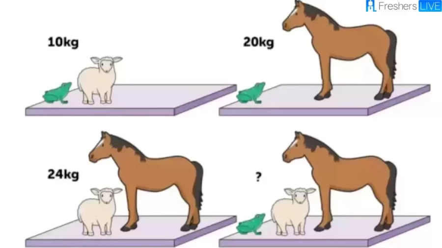 Brain Teaser Maths Puzzle: Can You Guess The Weight Of Each Animal In 18 Secs?