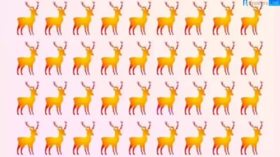 Brain Teaser Picture Puzzle: Can You Find the Odd One Out in 15 Secs?