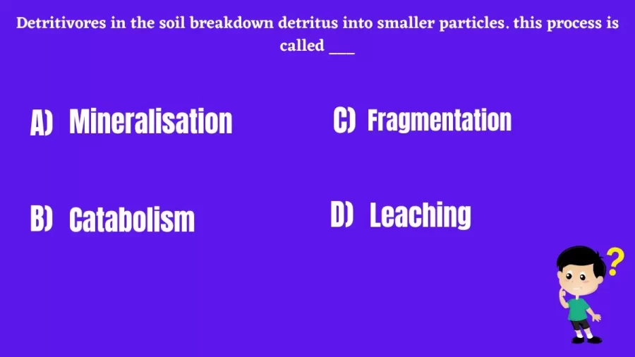 Detritivores in the soil breakdown detritus into smaller particles. This process is called ___