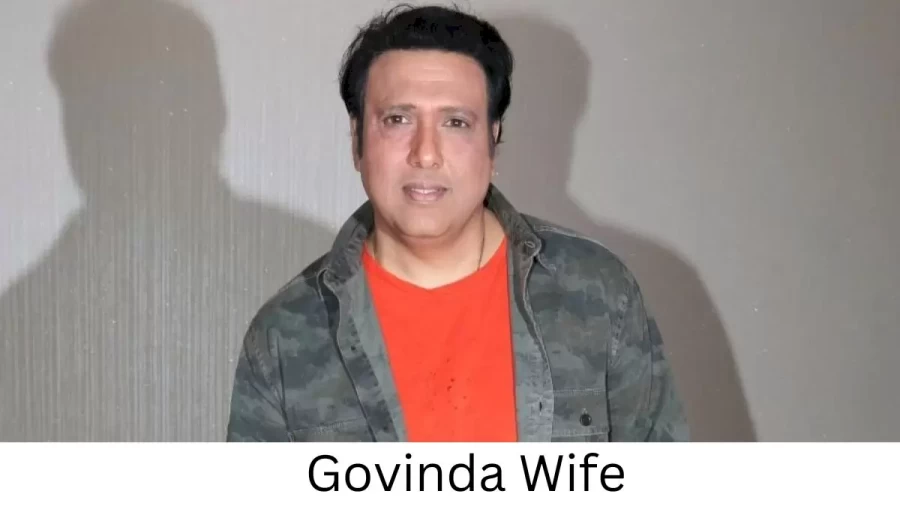 Govinda Wife Who is Govinda Wife?