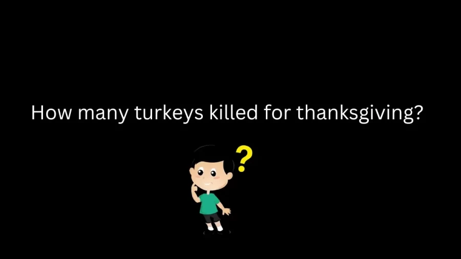 How Many Turkeys Killed for Thanksgiving?