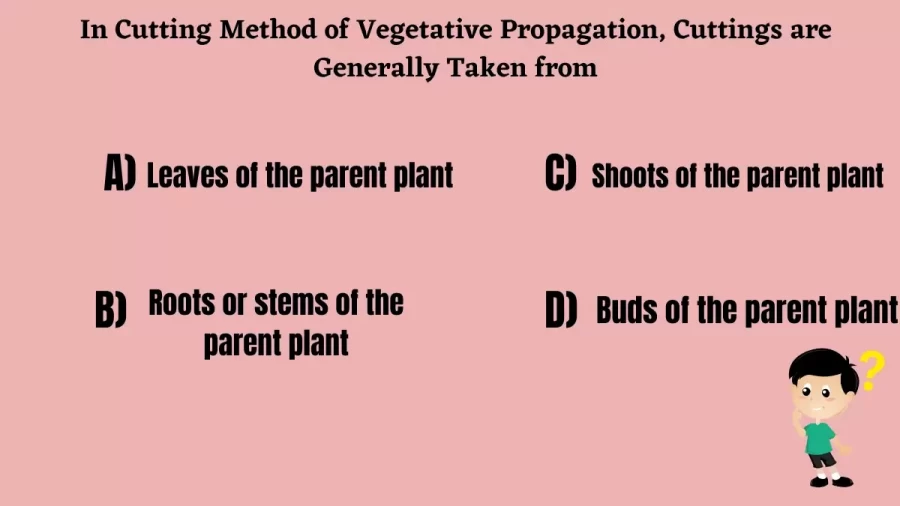 In Cutting Method of Vegetative Propagation, Cuttings are Generally Taken from