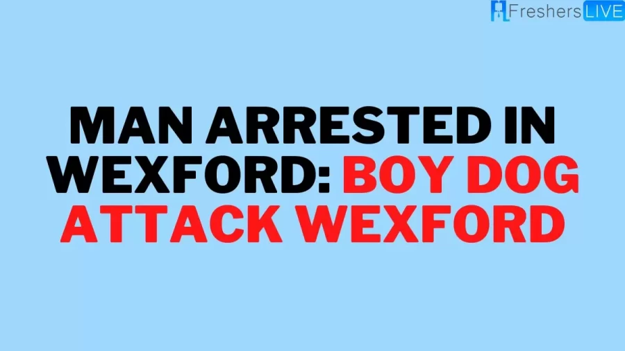 Man Arrested In Wexford: Boy Dog Attack Wexford, Know About Alejandro Miszan Dog Attack