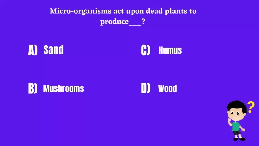 Micro-organisms act upon dead plants to produce___?