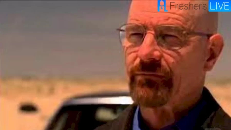 What Happened Between Walt And Gretchen? Why Did Walter White Leave Gretchen In Breaking Bad?