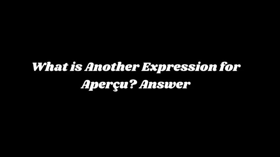 What is Another Expression for Aperçu? Answer