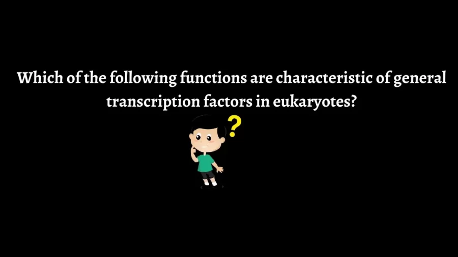 Which of the Following Functions are Characteristic of General Transcription Factors in Eukaryotes?