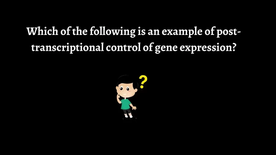 Which of the Following is an Example of Post-Transcriptional Control of Gene Expression?