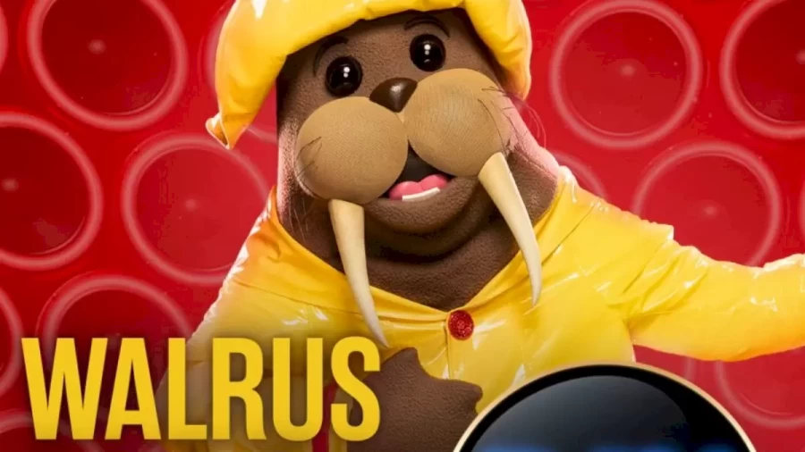 Who is the Walrus on The Masked Singer?