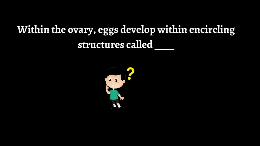 Within the Ovary, Eggs Develop within Encircling Structures Called ____