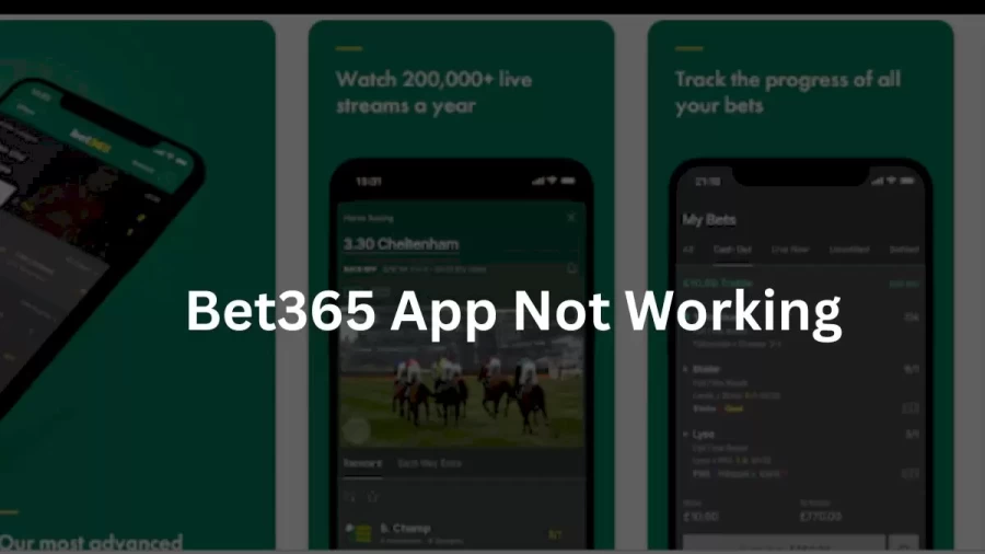 Bet365 App Not Working How to Fix Bet365 App Not Working Issue?