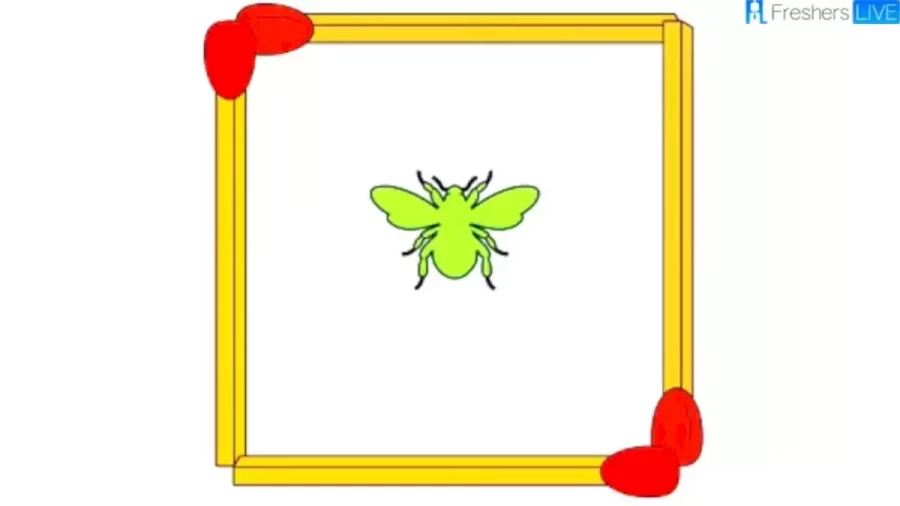 Brain Teaser: Move 2 Matchstick To Create Another Square with The Fly Outside the Square