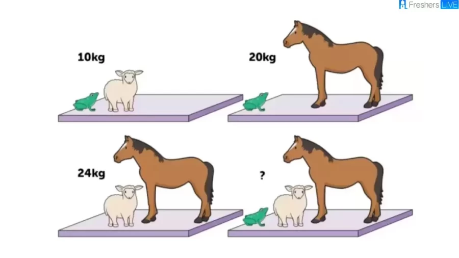 Brain Teaser Puzzle: Can You Guess The Weight Of Each Animal 20 Secs?