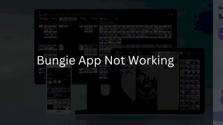 Bungie App Not Working How to Fix Bungie App Not Working Issue?