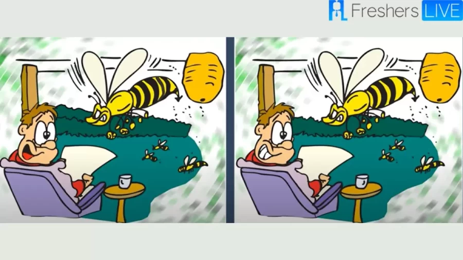 Can You Find The Differences In This Spot The Difference Game Brain Teaser?