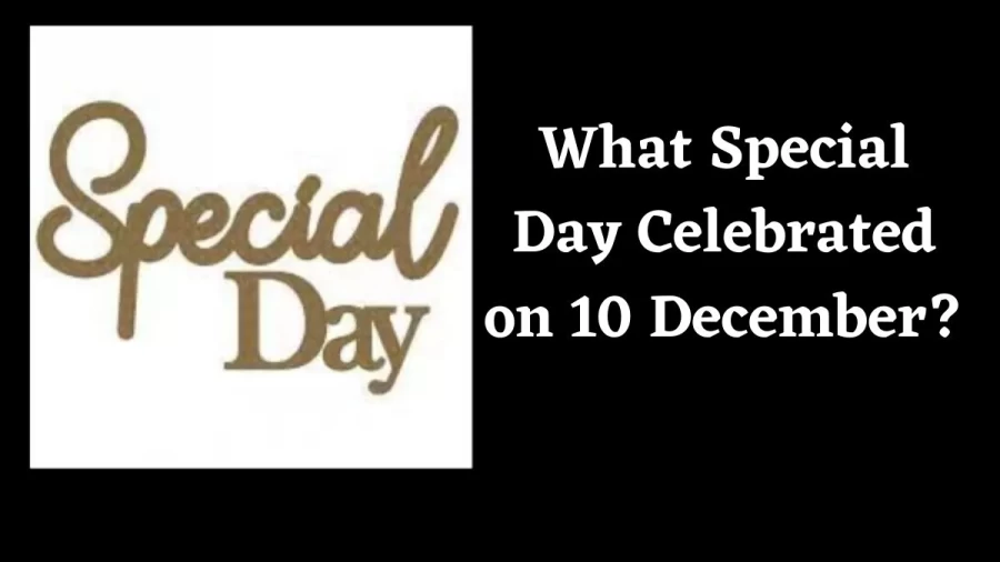 December 10 Special Day in India, What Special Day Celebrated on 10 December?