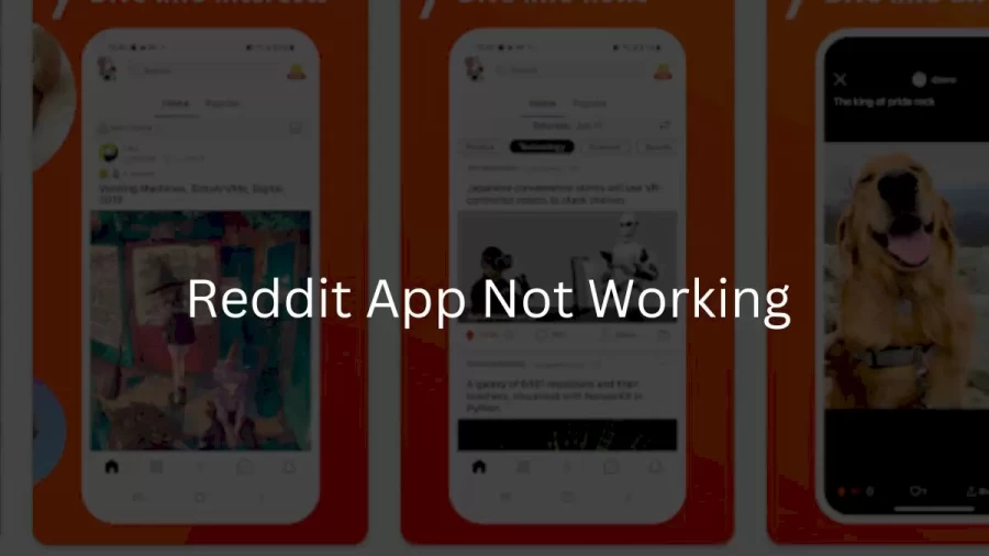 Reddit App Not Working How to Fix Reddit App Not Working Issue?