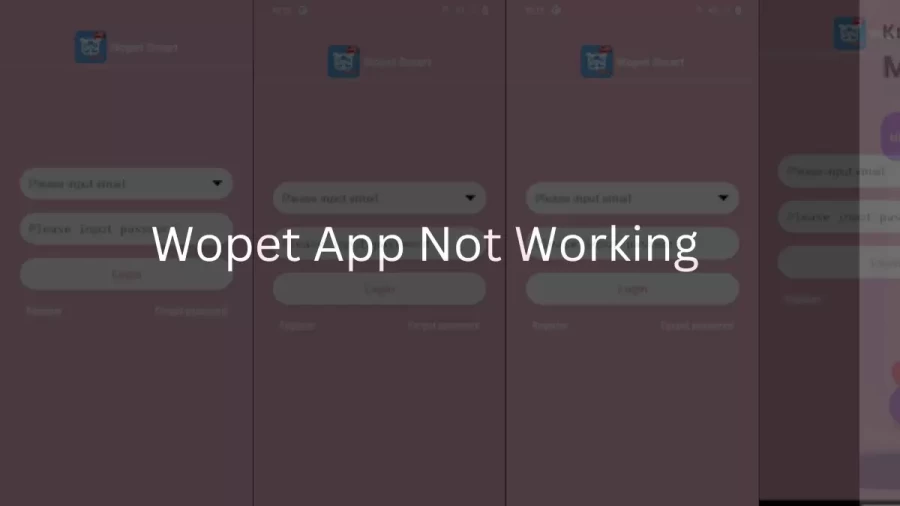 Wopet App Not Working How to Fix Wopet App Not Working Issue?