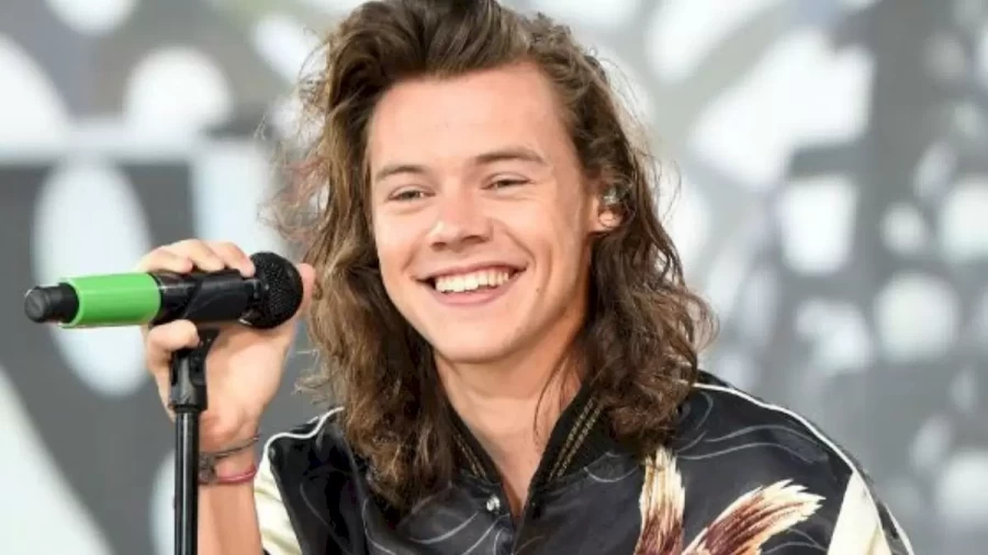 Harry Styles Biography, Real Name, Age, Height and Weight