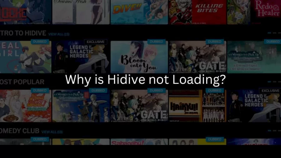 Hidive not Loading Is Hidive Down? Check Hidive Server Status