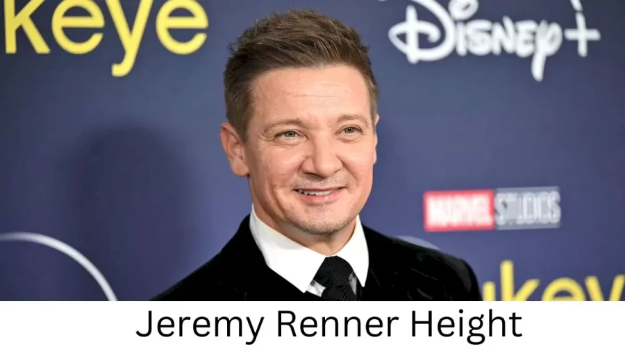 Jeremy Renner Height How Tall is Jeremy Renner?