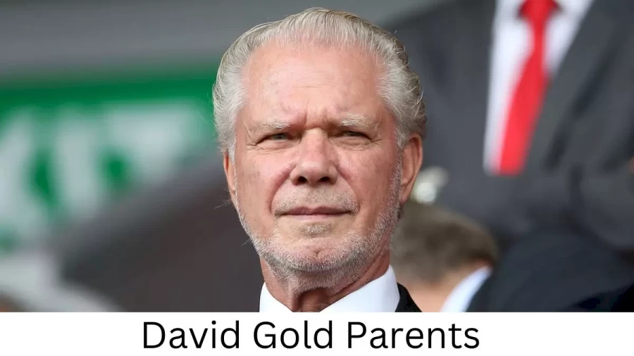 Who are David Golds Parents? David Gold Biography, Parents Name, Nationality and More