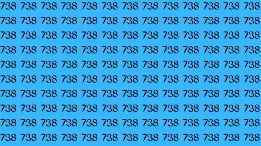 Observation Skills Test: Can you Spot the Number 788 among 738 in 13 seconds?