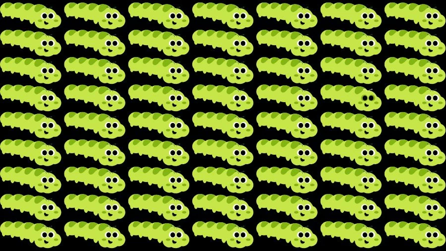 Optical Illusion Eye Test: Can you find the Odd Caterpillar in 20 Seconds?