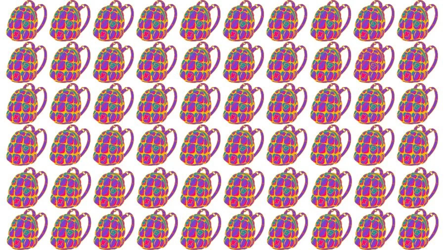 Optical Illusion Eye Test: Can you find the Odd Bag in 20 Seconds?