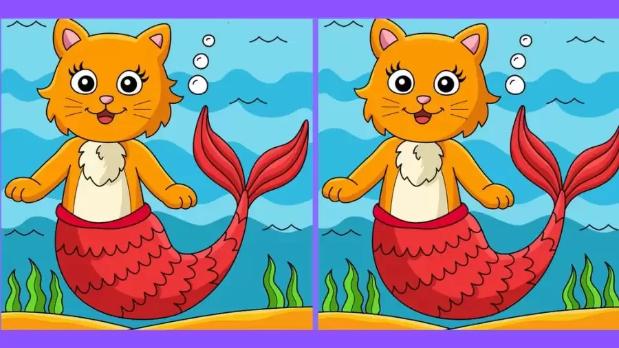 Brain Teaser Spot the Difference Game: If you have Eagle Eyes find the 3 differences in less than 20 seconds!