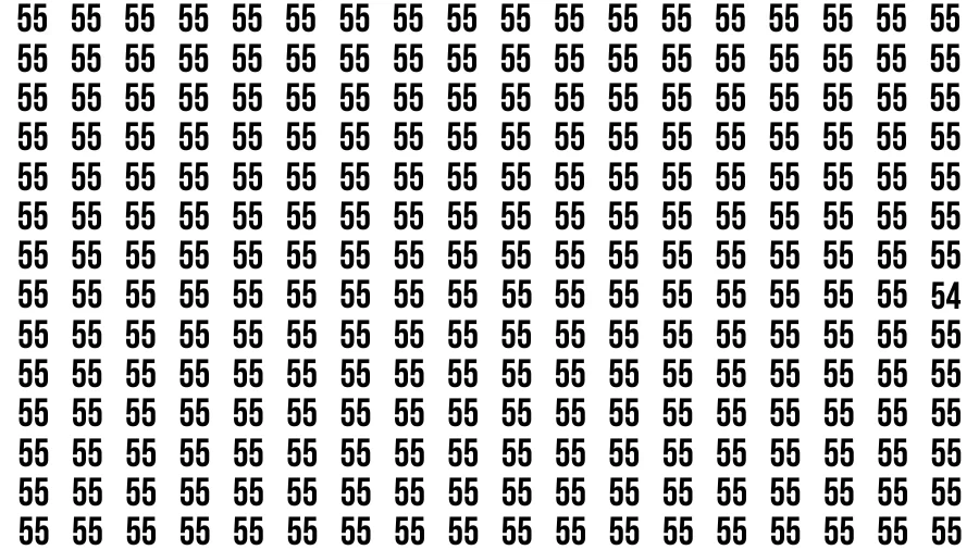 Test Visual Acuity: If you have Eagle Eyes Find the number 54 in 13 Secs