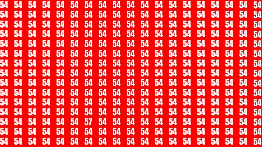 Observation Visual Test: If you have Sharp Eyes Find the Number 57 in 18 Secs