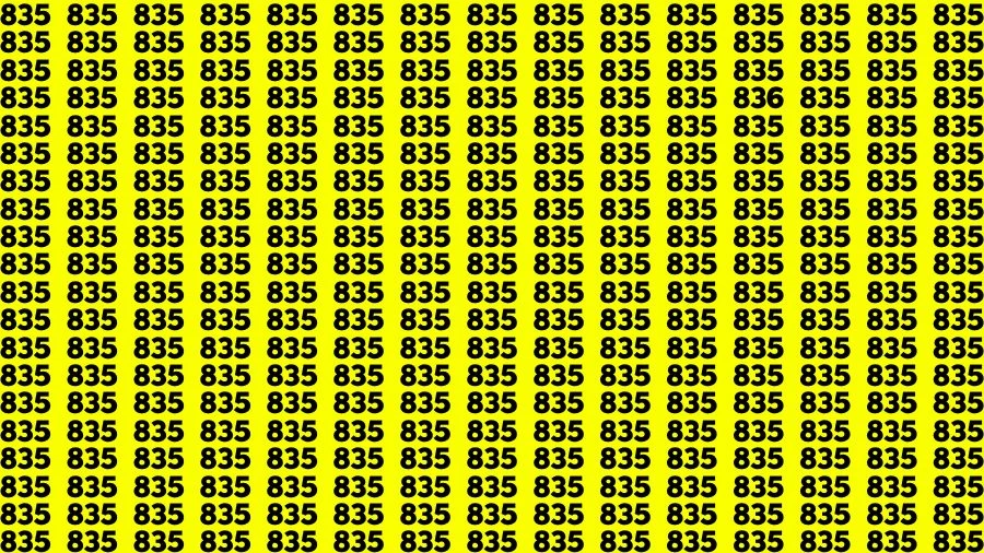 Observation Visual Test: If you have Hawk Eyes Find the Number 836 among 835 in 13 Secs